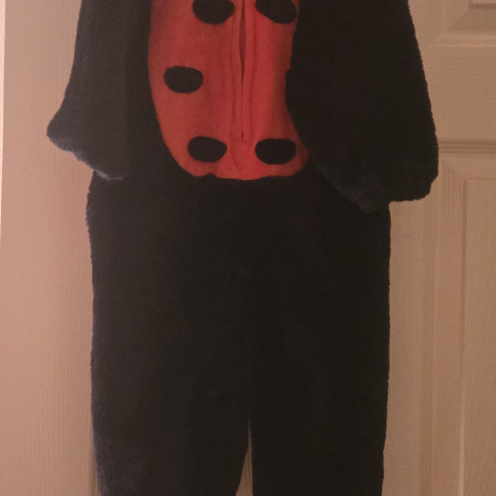 Black and Red Ladybug Costume